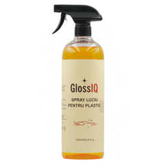 Spray Luciu pentru Plastic IQ13 – Restaurator ornamente exterioare, 1000 ml